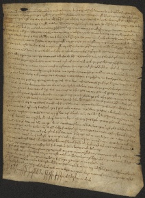 123 C.8.CXXIIIr, Donazione fatta da Restano e da diversi altri, di diversi beni a favore di Wiberto vescovo, Vignola, 1041, ago. 5