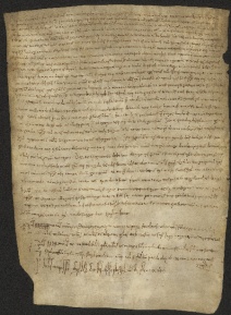 124 C.8.CXXIVr, Investitura fatta da Wiberto vescovo a favore di Restabo e di Pietro da Cinzano, Vignola, 1041, ago. 5