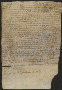 91 C.2.XCIr, Donazione fatta da Madelaldo ed Anna a favore di Ingone vescovo, Castel d'Aiano, 1035, apr. 11