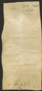 127 D.24.CXVIIIv, Investitura fatta da Ribaldo vescovo a favore di Guido, Savignano, 1142, giu. 12