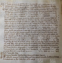 133.I(H) c. CIv (cod. O.III.27) Si danno dal Capitolo ai fratelli Rolando Alberico e Fantello di Fantello di Lavacchio alcune terre di ragione 1143 24 ott.