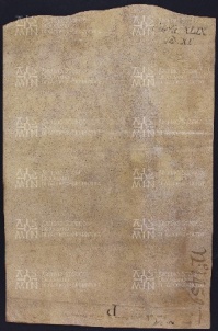 49 B.14.XLIXv, Investitura fatta da Ingone vescovo a favore di Albezo da Fredo, Modena, 1028, ago. 8