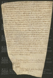 148 E.1.CXXXIIIr, Investitura fatta da Ribaldo vescovo a favore di Tuzone Rascario da Cognento, Modena, 1147, mar.