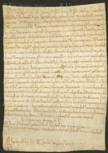 175 E.5.CLIVr, Investitura spedita da Ildeprando caridnale a Pietro, Modena, 1156, nov. 1