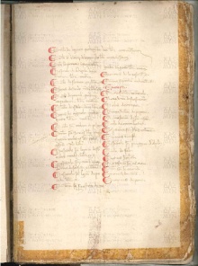 ACMo O.V.32 - pag. 101r