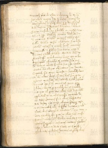 ACMo O.V.32 - pag. 126v