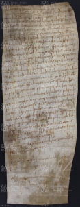 12 A.12.XIIr, Donazione fatta da Geminiano a favore di Gotefredo vescovo e alla sua chiesa, Cittanova, 931, apr