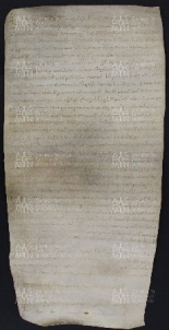 43 B.13.XLIIIr, Donazione fatta da Giovanni e Maria sua moglie, e da Domenico e Petronilla coniugi, a favore di Ingone vescovo, Modena, 1027, giu.