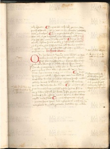 ACMo O.V.32 - pag. 013r