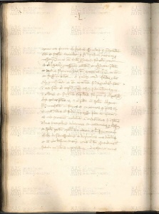 ACMo O.V.32 - pag. 096v