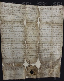 109_c_5_cixr_privilegio_di_corrado_ii_imperatore_a_favore_di_ingone_vescovo_e_della_chiesa_di_modena_colonia_1038_mar__16-web