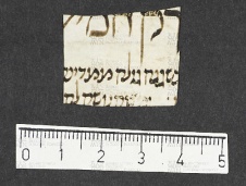 Pergamene ebraiche ACMO 1-103, App. 1-3 - pag. 17.7a