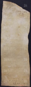 65 B.17.LXVv, Donazione fatta da Maria e dei suoi figli Domenico, Stefano e Giovanni a favore di Ingone vescovo, Savignano, 1031, ago. 27