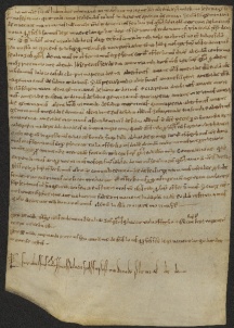 204 C.24.CCIVr, Donazione fatta da Gian Domenico e Liuzo da Cittanova a favore di S. Geminiano, Modena, 1077, giu. 18