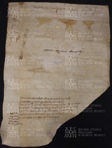 1 B.5.Iv, Investitura fatta da Giovanni vescovo a favore di Geraldo e di Azzo e Conrado suoi figli, Modena, 1001