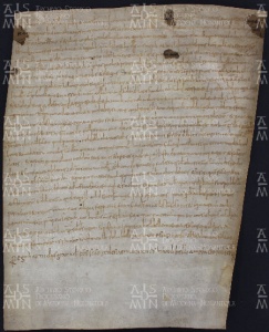 17 A.6.XVIIIr, Investitura fatta da Ardino vescovo a favore di Vitale e di sua moglie Maria da Granarolo, Savignano, 861, giu. 3