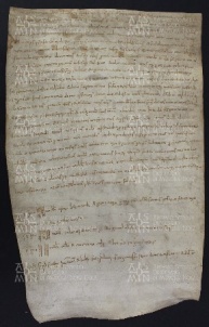 17 B.8.XVIIr, Donazione fatta da Bernardo e Guinezo suo figlio a favore della chiesa di S. Geminiano, Modena, 1015, feb. 25