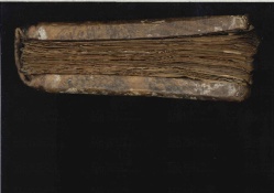 ACMo O.I.16 - pag. Taglio inferiore