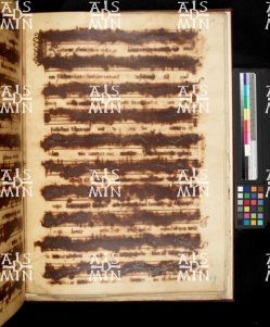 I-MOd 12 Ms. mus. XII - 29