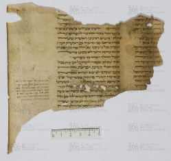 Pergamene ebraiche ACAMO 2-63, s.s - 13.3a