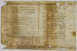 Pergamene ebraiche ACAMO 2-63, s.s - 15.1a