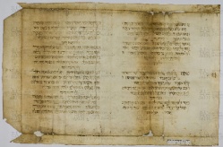Pergamene ebraiche ACAMO 2-63, s.s - 16.1a