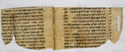 Pergamene ebraiche ACAMO 2-63, s.s - 3a
