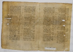 Pergamene ebraiche ACAMO 2-63, s.s - 51.1b