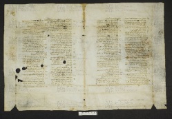 Pergamene ebraiche ACMO 1-103, App. 1-3 - pag. 101.1a