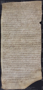 10 A.12.Xr, Donazione fatta da Lupo da Fredo a favoer di Gotefredo vescovo, Castello presso Cittanova, 914, mar. 31