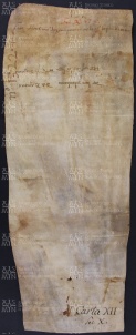 12 A.12.XIIv, Donazione fatta da Geminiano a favore di Gotefredo vescovo e alla sua chiesa, Cittanova, 931, apr