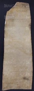 3 B.5.IIIv, Investitura fatta da Varino vescovo a favore di Petroio e Rozza, Modena, 1001, feb. 19