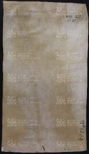 41 B.13.XLIv, Investitura fatta da Ingone vescovo a favore di Pietro e di Giovanni da Ulmido, Vignola, 1026, set. 17