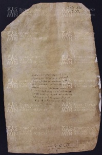 55 B.15.LVv, Investitura fatta da Ingone vescovo a favore di Guido Bono da Vignola, Vignola, 1029, ago. 10