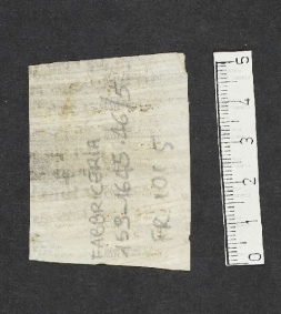 Pergamene ebraiche ACMO 1-103, App. 1-3 - pag. 101.5b