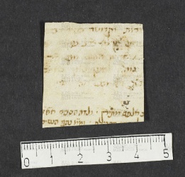 Pergamene ebraiche ACMO 1-103, App. 1-3 - pag. 100.4b