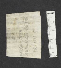 Pergamene ebraiche ACMO 1-103, App. 1-3 - pag. 101.5b
