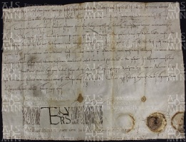 17 A.13.XVIIr, Privilegio di Lotario re col quale dona a Guido vescovo una corte nel contado di Comacchio, Pavia, 947 ott. 9
