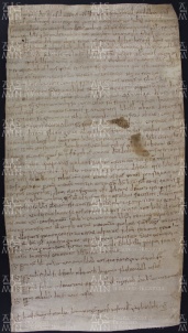 18 A.13.XVIIIr, Investitura fatta da Guido vescovo a favore di Giovanni da Nonantola, Modena, 955, mar.