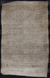 9 A.11.IXr,Investitura fatta da Gotefredo vescovo a favore di Grimaldo, Giovinazzo ed Ermeruda sua moglie, Castello presso CIttanova, 911, lug. 1