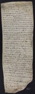 10 B.6.Xr, Investitura fatta da Varino vescovo a favore di Restano e di Giovanni Mauro da Saliceto, Modena, 1009, apr.