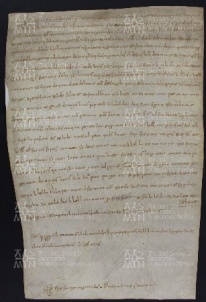 18 B.8.XVIIIr, Investitura fatta da Varino vescovo a favore di Regimondo, Modena, 1016, mag