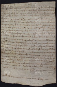 49 B.14.XLIXr, Investitura fatta da Ingone vescovo a favore di Albezo da Fredo, Modena, 1028, ago. 8