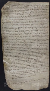 71 B.19.LXXIr, Donazione fatta dai fratelli Pietro Stradeverto e Giovanni, e da Sigezo a favore di Ingone vescovo, Modena, 1032, ott. 9