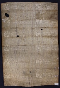 7 B.6.VIIv, Investitura fatta da Varino vescovo a favore di Adelberga da Modena e di Adelberto prete, Modena, 1006, nov. 26