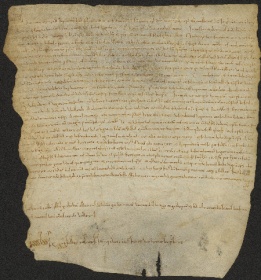 15  D.3.XIVr, Investitura fatta da Dodone vescovo a facore di Enrico e di Arialdo e Pietro, Pavia (Monastero di S. Pietro), 1106, mar. 7