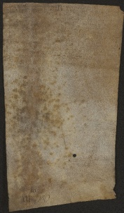 34 D.6.XXXv, Rinnovazione d'investitura fatta da Dodone vescovo a favore dei Fratelli Sigezio e Linaldo, di Contardo, di Pietro, e dei fratelli Aginulfo e Alfredo, Modena, 1114, feb. 23