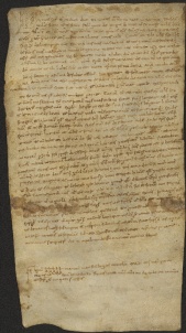 5 D.1.Vr, Investitura fatta da Dodone vescovo a favore di Giovanni da Porcile, Modena, 1102, ago. 5