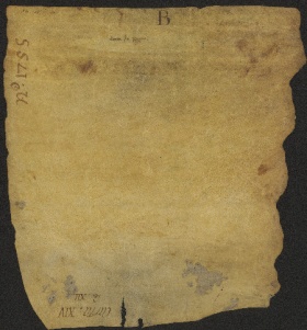 15 D.3.XIVv, Investitura fatta da Dodone vescovo a facore di Enrico e di Arialdo e Pietro, Pavia (Monastero di S. Pietro), 1106, mar. 7