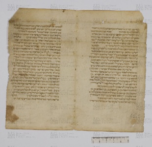 Pergamene ebraiche ACAMO 2-63, s.s - 61.1a